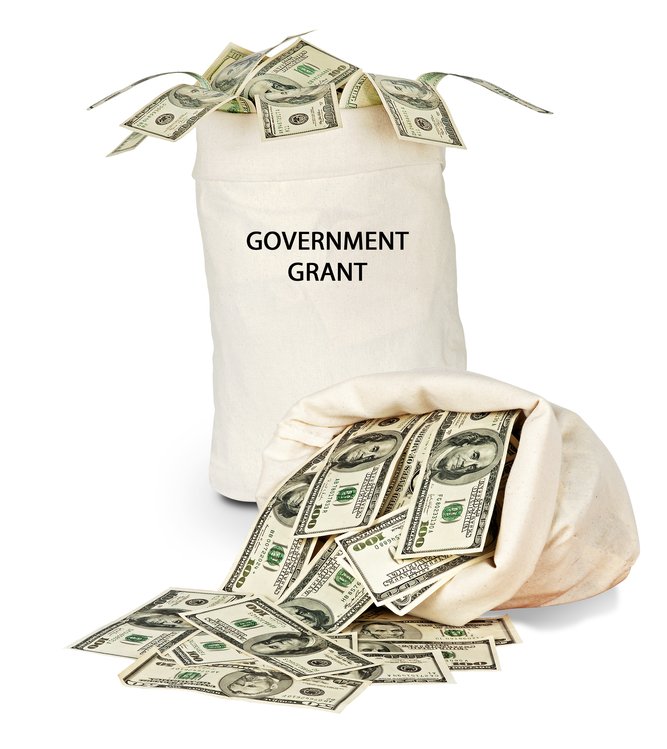 Government grant
