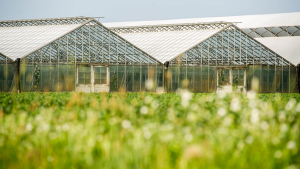 A Guide to Greenhouse Energy Efficiency